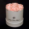 Carpe diem roses box kicsi